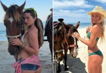 Saddled Up Stars to Kick Off the Year of the Fire Horse