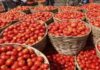 No Support Price: 3 Farmers from Mahabubabad Distribute Tomatoes for Free
