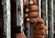 Drugs Case: Man Gets 20 Years Rigorous Jail Term; Asked to Pay Rs.1 Cr fine