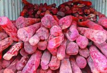 Three Get Five-Year Jail Term in 2018 Red Sanders Smuggling Case