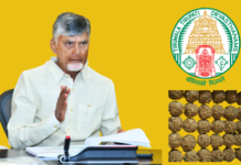 CM Naidu Vows Action Over Alleged Laddu Prasadam Adulteration
