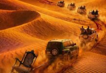 Pankaj Tripathi, Ali Fazal’s Mirzapur Film Release Date Locked