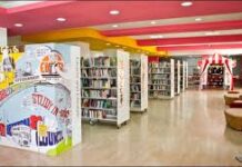 Viewpoint | From Print to Pixels: Changing Face of Libraries