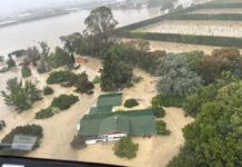 Wild Storm in New Zealand Disrupts Flights, Thousands Without Power