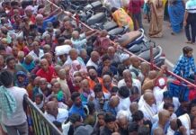 Snake Bites Devotee from Bhupalpally in Tirumala Queue
