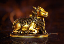 Comments Against Nandi Awards Are Unfortunate, Says Prasanna Kumar