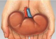 Illegal Moneylenders Under Scanner After Chandrapur Kidney Sale Case