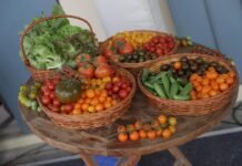 Israeli Chef Ruthie Russo Brings the Flavours of Israel to Bengaluru