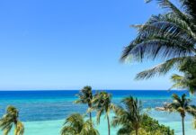Deal of the day: Fly to Jamaica for only 8,000 American Airlines AAdvantage miles