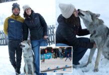 Dogs owners stunned when they spotted their pet on TV — at the Olympics
