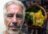 Jeffrey Epstein Emails Refer to Toxic ‘Zombie Drug’ Plants He Kept