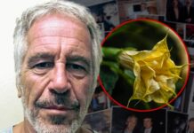 Jeffrey Epstein Emails Refer to Toxic ‘Zombie Drug’ Plants He Kept