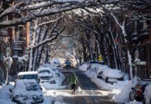 North-east US digs out after massive blizzard blankets the region