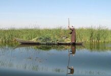 Discover Iran: the network of rivers, lakes, and wetlands of Sistan-Baluchestan