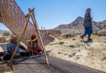 Siah-Chador weaving in South Khorasan, from nomadic tradition to economic opportunities