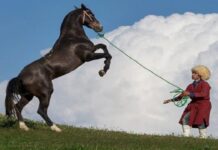 26 Golestan events added to national tourism calendar