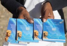 All foreign nationals in Iran mandated to have health insurance