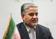 Iran and Egypt to promote diplomatic ties to level of ambassador