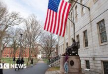 Pentagon ends academic ties with Harvard over its ‘woke ideology’