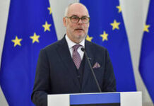 EU country runs out of firewood amid freeze – media