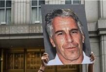 FBI found no evidence of Epstein sex-trafficking network – AP