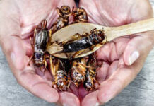 Spain accuses Italy and Germany of ‘undermining EU solidarity’ – media