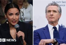 ‘Trump will be gone in three years’: Top Democrats try to reassure Europe