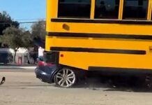 Jaguar Driver Crashes Into School Bus on Video, Later Arrested for DV at Home