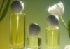 The Spring Fragrance Trends of 2026 Bring a Breath of Fresh Air