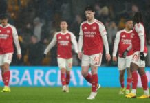 Wolves 2-2 Arsenal: Debutant Edozie snatches stunning draw as Premier League leaders drop crucial points