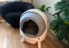 The 7 Best Automatic Litter Boxes (2025) Our Cats Would Recommend