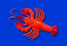 OpenClaw creator Peter Steinberger joins OpenAI