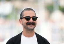 Shia LaBeouf Sentenced to Rehab After Possibly Being ‘Punched In Groin’ …