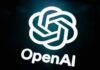 Riley Walz, the Jester of Silicon Valley, Is Joining OpenAI
