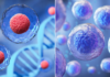 NEXX Clinic: How stem cells are rewriting the rules of beauty and aging