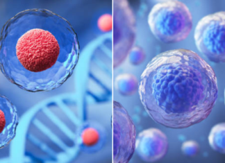 NEXX Clinic: How stem cells are rewriting the rules of beauty and aging
