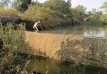 After Years of Fighting Over Tankers, Marathwada Villagers Came Together to End Its Water Crisis