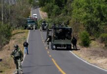 Romantic partner helped lead to deadly capture of top cartel leader