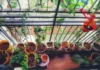 In Dombivli, a 38-YO Woman’s 400-Sq-Ft Balcony Is Home to 70+ Plants, Sparrows & Butterflies
