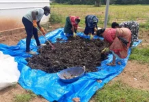 How a College Team Helped a Karnataka Village Achieve 90% Waste Segregation & Grow a Food Forest