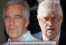 Read Ex-Prince Andrew’s Possibly Incriminating Emails to Jeffrey Epstein