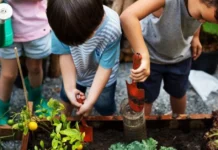 Simple Way To Teach Kids Patience: Grow Capsicum Together At Home