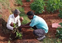 Good News This Week: Budget 2026 Brings Farming Income, AI Advice, Creator Labs & Easier Travel