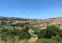 Gridiron golf? 5 places you can play near this year’s Super Bowl site