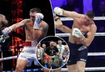 Oleksandr Usyk, kickboxer Rico Verhoeven agree to bout at Pyramids of Giza