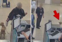 Woman Arrested After Tying Up Dog at Airport and Departing, on Video