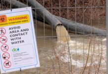 Trump won’t let Dem sewage ‘failures’ slide as Moore faces heat over infrastructure grade