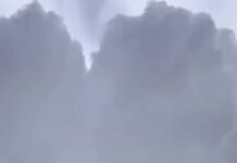 Wild video shows avalanche spill down mountainside, engulfing fleeing skiers in snow