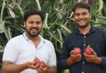 ‘Invest Once, Reap Profits for 35 Yrs’: How a Techie’s Dragon Fruit Biz Earns Rs 20 Lakh/Yr