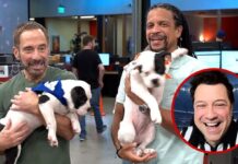 Puppy Bowl Ref Promises More Drama Than Human Super Bowl